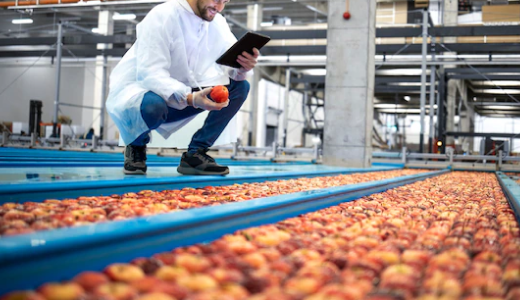Water Quality Monitoring for Food Processing